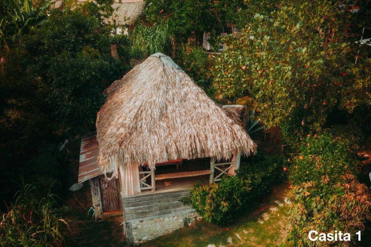 Ecolodge Tubagua Puerto Plata Exterior foto